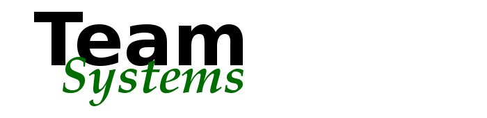 Teamsystems Support